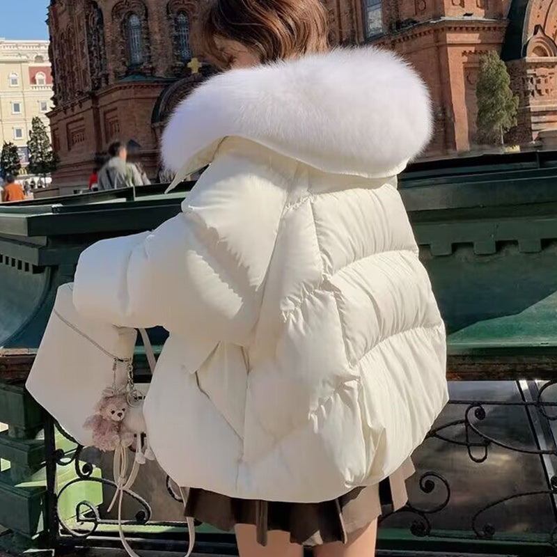 Doudoune en coton Courte Rembourrée – Col Fourrure Hiver